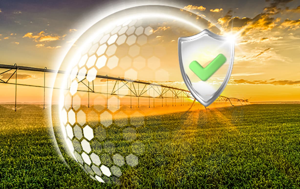 ZKB Varlık Kiralama