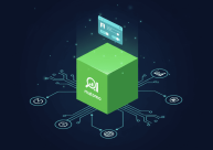 Matomo Tag Manager Nedir